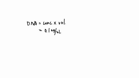 for-the-positive-control-you-transformed-a-plasmid-with-a-known-dna-concentration-this-allows-you-to-calculate-the-transformation-efficiency-for-your-batch-of-competent-ecoli-cells-transform-95348