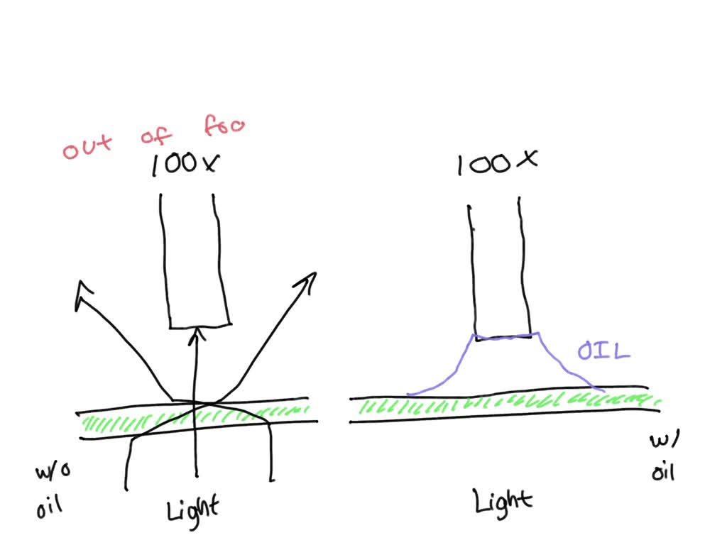 SOLVED Why is it necessary to have immersion oil between the oil