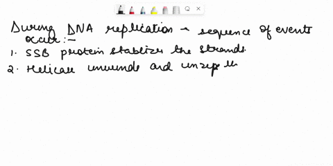 ion-desmos-review-put-the-following-events-of-dna-replication-in-order-fipst-helicase-unwinds-and-unzips-the-parent-strands-helicase-binds-at-origins-of-replication-ssb-proteins-stabilize-th-74072