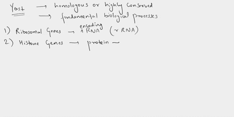 tpcce-weelk-yeast-genomnic-proiect-1-what-kinds-of-genes-kould-expect-mhother-cukaryote-like-fruit-flies-isolate-irom-vcist-inat-oulo-similar-thosc-lound-1-what-kinds-of-genes-ould-we-expect-46352