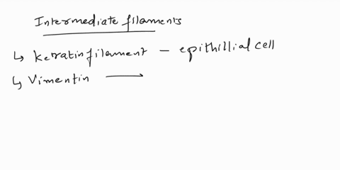 which-of-the-classes-of-intermediate-filaments-is-the-most-diverse-a-nuclear-lamins-in-animal-cells-b-neurofilaments-in-nerve-cells-c-keratins-in-epithelia-d-a-c-e-all-of-the-above-62827