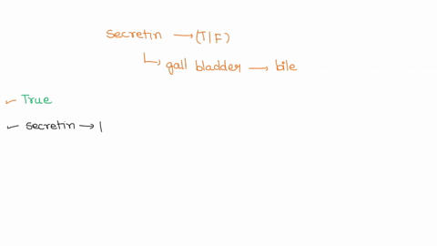 question-10-1-pts-secretin-causes-the-gall-bladder-to-secrete-bile-true-false-67144