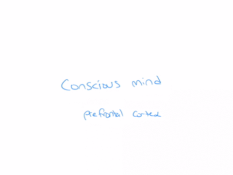 which-part-of-the-mind-interprets-what-you-are-seeing-hearing-or-thinking-about-in-the-moment-60687