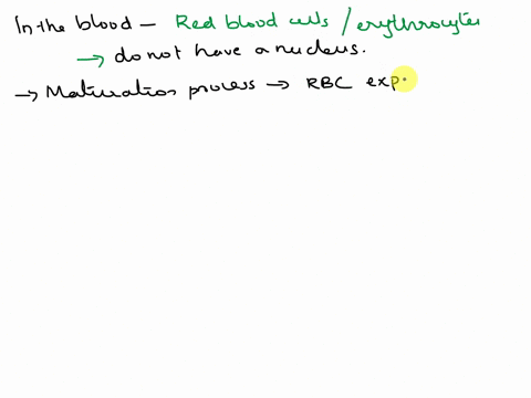 which-cells-in-the-blood-do-not-have-a-nucleus-67978