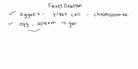 upon-fertilization-the-egg-and-sperm-fuse-to-form-a-single-cell-called-an-________-05212