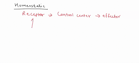 which-of-the-following-represents-the-correct-order-in-which-the-components-interact-in-a-homeostatic-control-system-othe-receptorthe-control-centerand-the-effector-othe-effectorthe-stimulus-64127