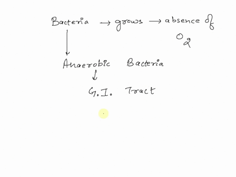 the-bacteria-that-do-not-require-oxygen-for-their-growth-are-called-_______-bacteria-95523