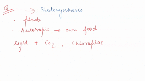 which-of-the-following-is-not-a-product-of-photosynthesis-hint-there-may-be-multiple-answers-group-of-answer-choices-a-carbon-dioxide-b-none-of-the-above-all-are-products-of-photosynthesis-c-56303