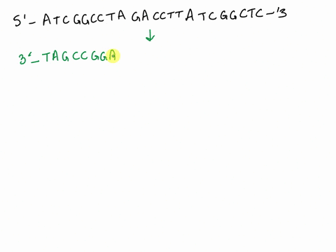 1-use-your-knowledge-of-dna-replication-to-produce-the-complementary-daughter-strand-for-the-sequence-given-below-be-sure-to-label-the-5-and-3-ends-and-indicate-in-which-direction-replicatio-58557