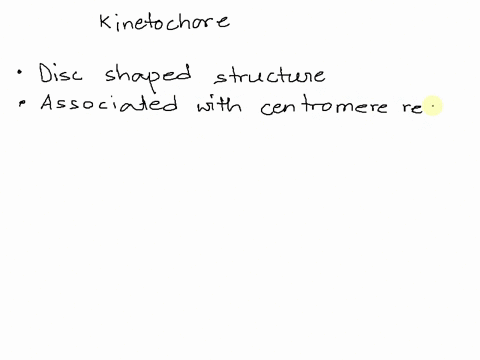 multiple-choice-which-of-the-following-best-describes-the-kinetochore-a-structure-composed-of-several-proteins-that-associate-with-the-centromere-region-of-chromosome-and-that-can-bind-spino-96835
