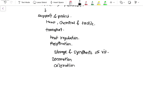 list-four-very-different-functions-of-integumentary-systems-in-vertebrates-explain-what-they-are-and-name-an-animal-example-48928