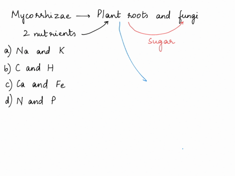 mycorrhizae-are-mutualistic-associations-between-plant-roots-and-certain-fungi-which-two-nutrients-elements-are-supplied-by-the-fungus-to-the-plant-in-return-for-the-sugars-it-obtains-from-t-64766