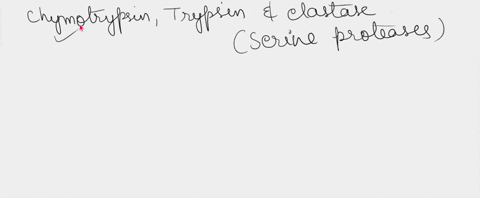 chymotrypsin-trypsin-and-clastase-are-digestive-cnzymes-called-scrine-proteases-the-scrinc-protcases-differ-in-substrate-specificity-chymotrypsin-cleaves-peptide-bonds-alter-aromatic-side-ch-64863