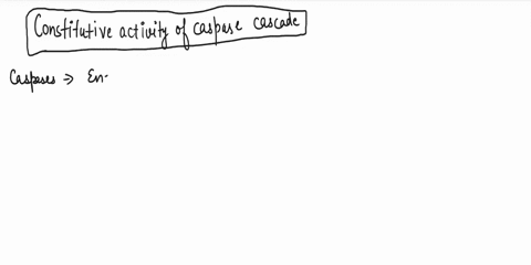 cancer-cells-exhibit-traits-called-hallmarks-of-transformation-which-of-the-following-islare-not-characteristic-of-cancer-cells-lose-of-contact-inhibition-constitutive-activity-of-the-caspas-47732