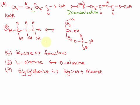 25-recognizing-reaction-types-for-the-following-pairs-of-biomolecules-identify-the-type-of-reaction-oxidation-reduction-hydrolysis_-isomerization_-group-transfer-or-internal-rearrangement-re-50745