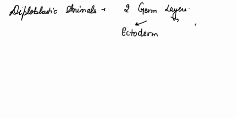 diploblastic-and-acoelomate-animals-belong-to-which-phyluma-porifera-b-coelenterata-c-echinodermata-d-annelida-45434