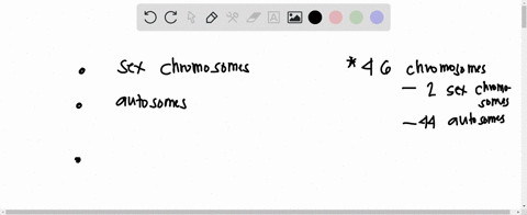 complete-each-sentence-with-the-appropriate-term-not-all-terms-will-be-used-aulosomos-humans-who-have-aneuploidy-of-the-are-vlable_-lemales-sex-chromosomes-human-who-has-turner-syndrome-xo-h-18027