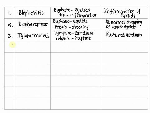 vumher-term-breakdown-meaning-of-word-definition-of-the-term-prelix-suflix-root-parts-blepharitis-blepharoptosis-tympanorrhexis-tympanorrhagia-myringectomy-oculomycosis-presbyopia-iridectomy-45856