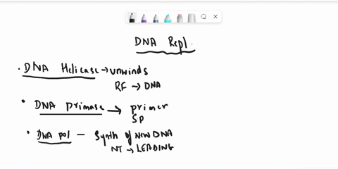 describe-the-process-of-dna-replication-explain-how-dna-is-replicated-on-the-leading-and-lagging-strands-87685