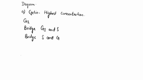 the-amount-of-cyclins-fluctuates-throughout-the-cell-cycle-while-the-amount-cdks-remains-relatively-constant_-however-the-kinase-activity-cdks-stimulated-once-tney-are-bound-cyclins-herelore-76707