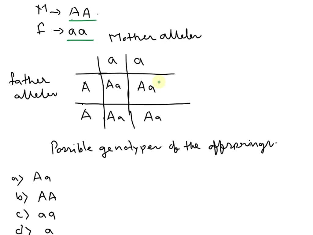 Solved Suppose A Male With Genotype Aa And A Female With Genotype A Mate And Produce Offspring 