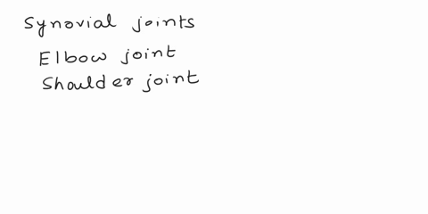 which-of-the-following-joints-are-primarily-synovial-o-elbow-joints-o-joints-in-the-spine-o-shoulder-joints-o-joints-in-nerves-84036