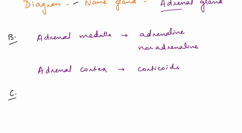 name-this-gland-hormones-produced-role-of-these-hormones-adrenal-cortex-capsule-adrenal-medulla-kidney-deepest-zone-of-cortex-24498