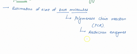 what-are-the-applications-of-agarose-gel-electrophoresis-91815