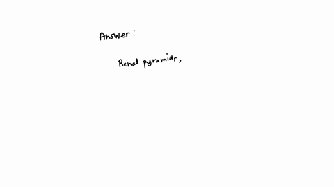 4-which-of-the-following-lists-the-correct-order-of-the-structures-urine-passes-through-as-it-leaves-the-kidneys-on-its-way-out-of-the-body-a-renal-pelvises-renal-pyramids-urethra-bladder-ureters-b-re