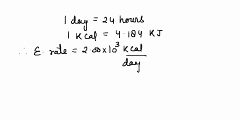 the-average-adult-human-burns-200-10-kcal-per-day-in-energy-what-is-this-rate-kj-per-hour-0001-days-afeate5-dflett-lan-recet-0001-201-10-200-10-20-0-349-4184-10-184-100o-kcal-cal-kcallday-da-48572