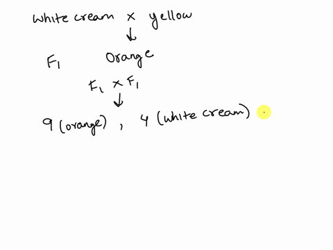 q3-the-color-of-sunflower-pollen-can-be-orange-yellow-or-white-cream-crosses-reveal-that-true-breeding-orange-is-dominant-to-both-yellow-and-white-cream-however-a-cross-between-true-breeding-99315