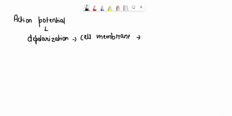 23-during-an-action-potential-the-inside-of-the-cell-membrane-becomes-more-positive-than-the-outside-why-does-this-happen-during-depolarization-the-potassium-ions-rush-in-and-the-sodium-ions-86738