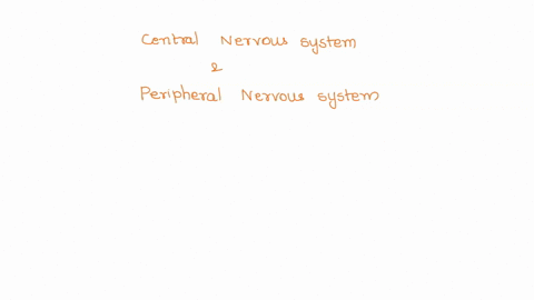 please-determine-whether-the-statement-is-true-or-false-in-vertebrates-the-centralnervous-system-cns-consisting-of-the-brain-and-the-spinal-cord-integrates-information-while-the-nerves-of-th-99273