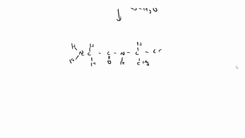 1a-draw-alanine-and-proline-next-to-each-other-as-amino-acids-b-draw-the-two-amino-acids-linked-by-an-amide-bond-c-draw-the-resonance-structure-of-the-amide-bond-that-shows-why-the-amide-bon-73592