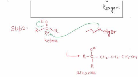 write-equations-for-the-following-step-1-conversion-of-1-bromobutane-into-a-grignard-reagent-step-2-reaction-of-the-grignard-reagent-with-the-ketone-to-form-an-alkoxide-salt-identify-the-nuc-51396
