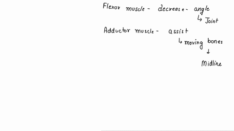 which-of-the-following-terms-would-be-used-in-the-name-of-a-muscle-that-moves-the-leg-away-from-the-55075