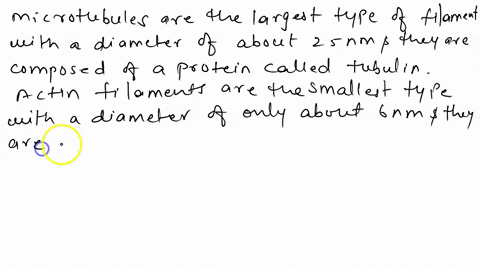 describe-the-structures-of-actin-filaments-and-microtubules-61183