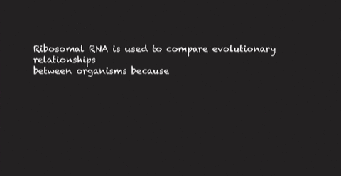 ribosomal-rna-is-used-to-compare-evolutionary-relationships-between-organisms-because-it-is-required-for-processes-that-all-organisms-share-such-as-protein-synthesis-it-does-not-get-translat-54949