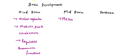 which-of-the-following-describes-the-progression-of-brain-region-development-select-one-a-parietal-and-temporal-association-cortex-sensorimotor-cortex-prefrontal-cortex-b-prefrontal-cortex-s-35344