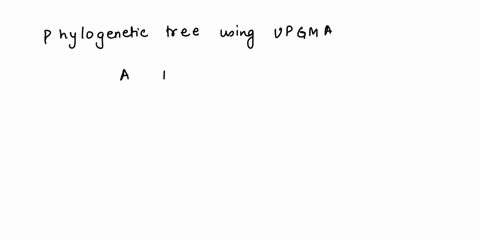 given-the-following-distances-matrix-obtain-a-phylogenetic-tree-using-upgma-please-show-your-work-step-by-step-a-b-c-d-e-a-b-9-c-2-11-d-4-12-4-e-5-13-5-3-2-given-the-following-4-sequences-ob-53188