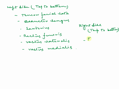 9-using-the-terms-from-the-key-on-the-right-correctly-identify-all-muscles-provided-with-leader-lines-in-the-illustrations-below-10-use-the-key-terms-in-question-9-to-respond-to-the-descript-66628