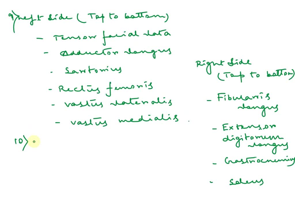 solved-using-the-terms-from-the-key-on-the-right-correctly-identify