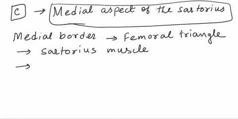 3-which-of-the-following-forms-the-medial-border-of-the-femoral-triangle-a-inguinal-ligament-b-lateral-aspect-of-the-adductor-longus-c-medial-aspect-of-the-sartorius-d-pectineus-and-liliaceo-39968