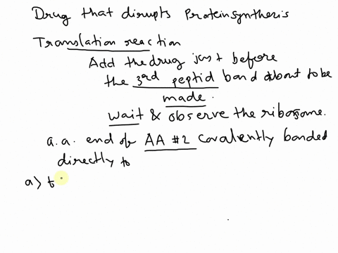 you-identify-a-drug-that-disrupts-protein-synthesis-by-preventing-ribosomal-translocation-movement-of-the-ribosome-relative-to-the-mrna-it-does-not-affect-any-other-step-in-protein-synthesis-22203