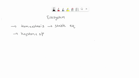 explain-how-the-following-concepts-connect-around-the-disappearing-sea-otter-phenomenon-trophic-levels-keystone-species-homeostasis-positivelnegative-feedback-limiting-factors-cascade-effect-51671