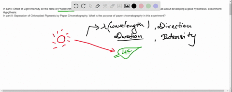 in-part-i-effect-of-light-intensity-on-the-rate-of-photosynthesis-develop-a-hypothesis-for-this-be-sure-to-refer-to-the-scientific-method-lab-about-developing-a-good-hypothesis-experiment-hy-55833