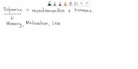 severe-reductions-in-the-production-of-dopamine-have-been-linked-with-30826