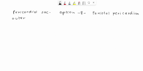 the-pericardial-sac-is-lined-with-a-fibrous-pericardium-b-parietal-pericardium-c-visceral-pericardium-d-myocardium-e-epicardium-53563