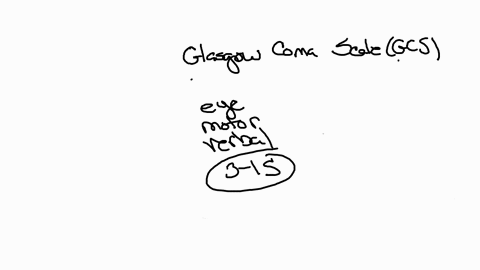 a-patient-suffered-a-traumatic-brain-injury-in-an-automobile-accident-a-discuss-how-the-glasgow-coma-scale-is-utilized-in-determining-neurologic-status