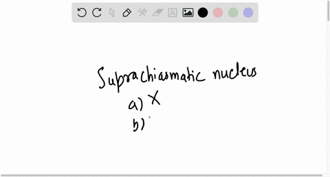 the-suprachiasmatic-nucleus-a-secretes-melatonin-b-stimulates-long-term-potentiation-ltp-in-the-hi-2-28924
